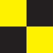 Yellow and Black Check